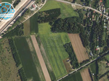 Działka usługowa Baciuty