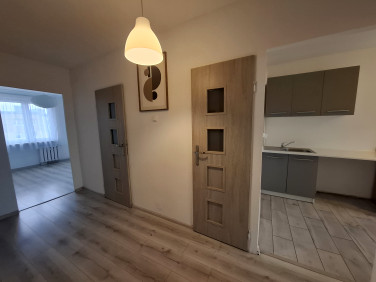 Mieszkanie blok mieszkalny wynajem