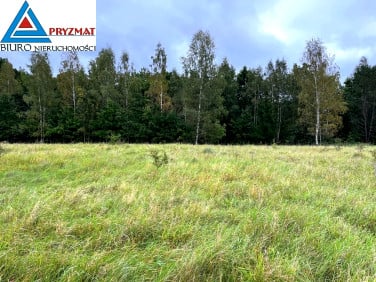 Działka przy lesie
