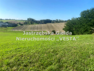 Pusta działka Jastrzębie-Zdrój