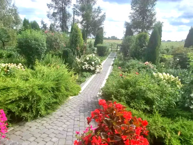 Dom Piątek
