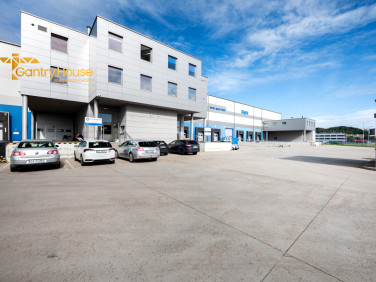 Lokal Gdynia