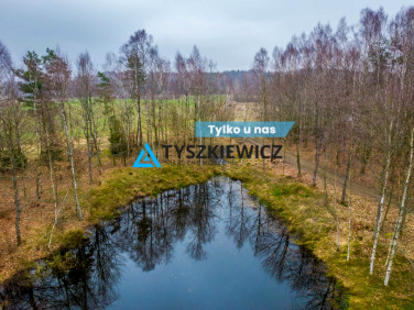 Działka przy lesie