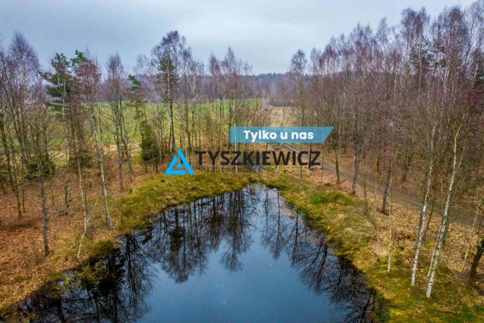 Działka przy lesie