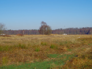 Działka budowlana Niedźwiedź