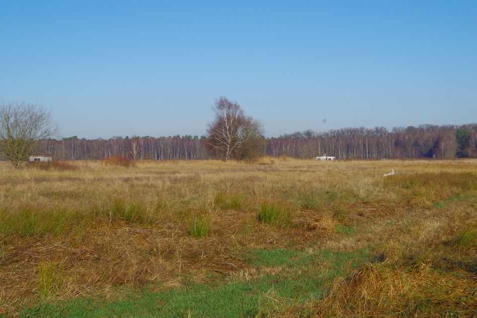 Działka budowlana Niedźwiedź