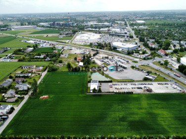 Działka Gniezno