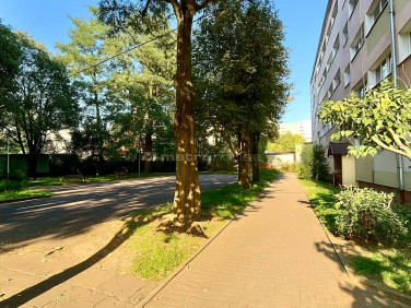 Mieszkanie Łódź