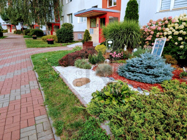 Mieszkanie Częstochowa