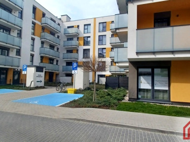 Lokal Piaseczno