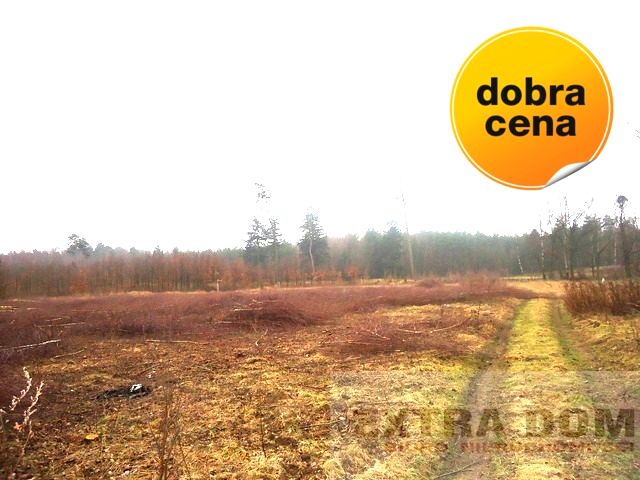 Działka budowlana Nowogard