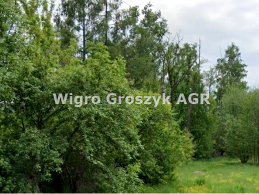 Działka Adamówek