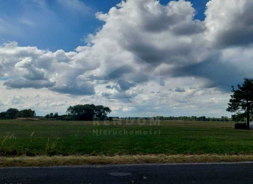 Działka przy lesie