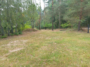 Działka budowlana Głuchów