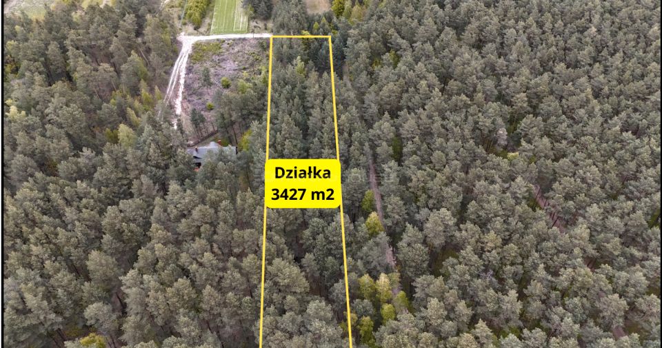 Działka leśna Nadkole