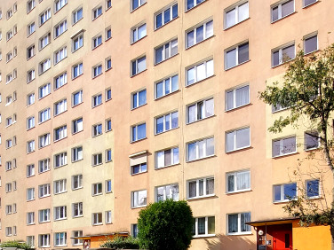 Mieszkanie Kalisz sprzedaż