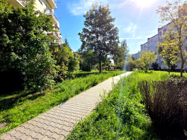 Mieszkanie Kielce