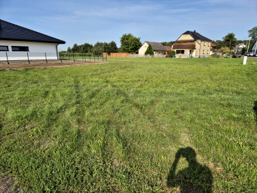 Działka przy lesie