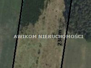 Działka rolna Korabiewice
