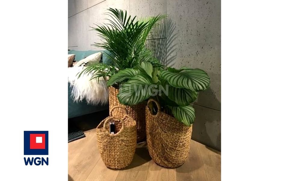 Dom Ustroń sprzedaż