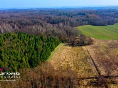 Działka budowlana Dziśnity