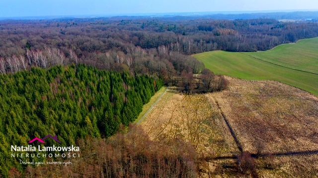 Działka budowlana Dziśnity