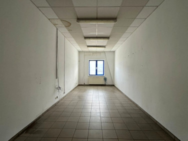 Lokal Grudziądz