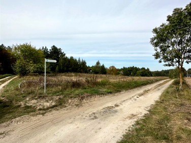 Działka budowlana Płochocinek