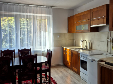 Mieszkanie Głogów wynajem