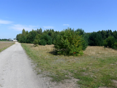 Działka rolna Wypychów