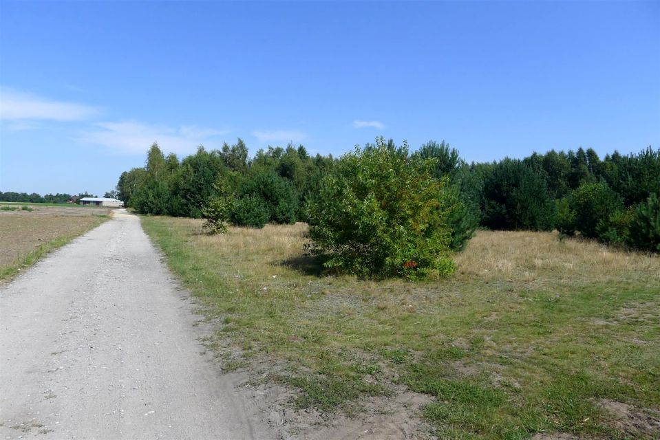 Działka rolna Wypychów