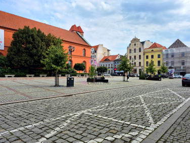 Lokal Toruń