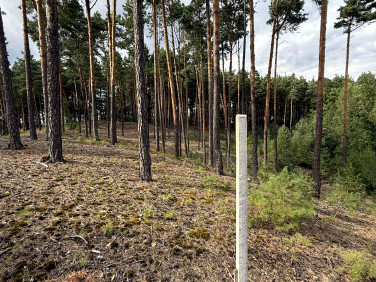 Działka budowlana Tereszpol-Kukiełki