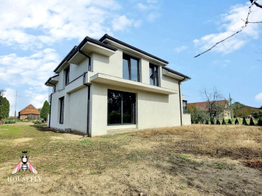 Dom Krzepielów