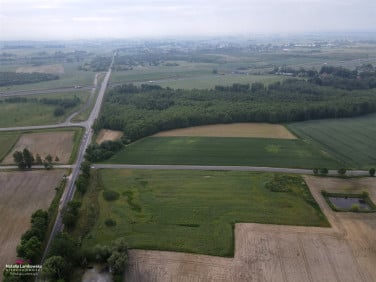 Działka inwestycyjna Warlubie