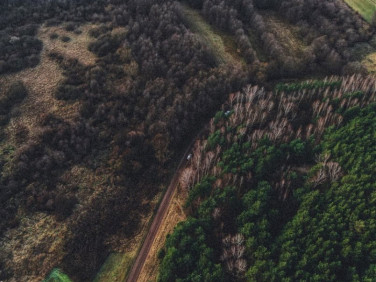 Działka leśna Wałdowo Szlacheckie