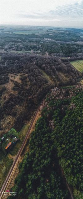 Działka leśna Wałdowo Szlacheckie