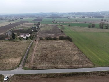 Działka rekreacyjna Sosnówka