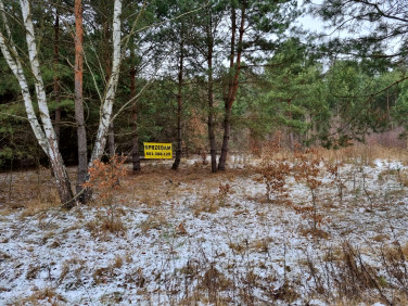 Działka budowlana Brudnów