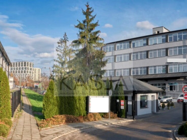 Lokal Kraków