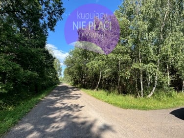 Działka Kury