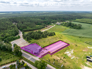 Lokal Skarszewy