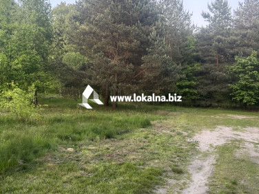 Działka budowlana Radonie