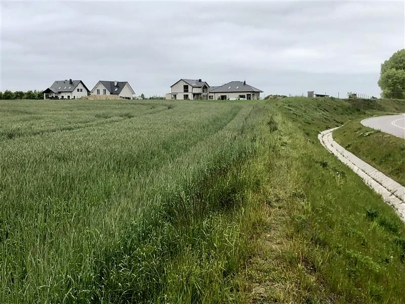 Działka budowlana Dębogórze sprzedam