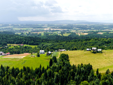 Działka budowlana Żurowa