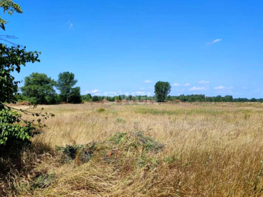 Działka Kożuchów