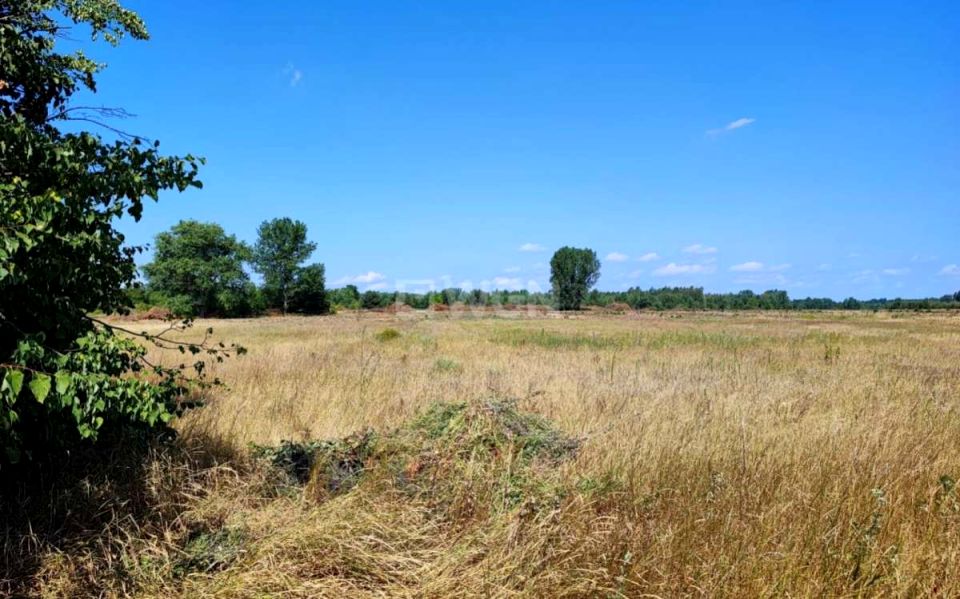 Działka Kożuchów