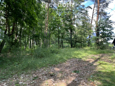 Działka rekreacyjna Tuczno sprzedam