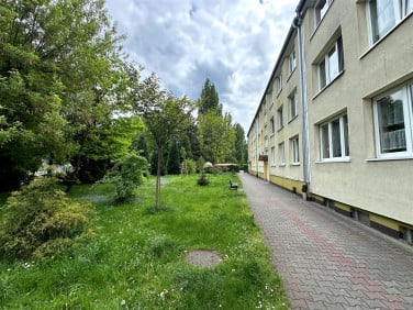 Mieszkanie Knurów
