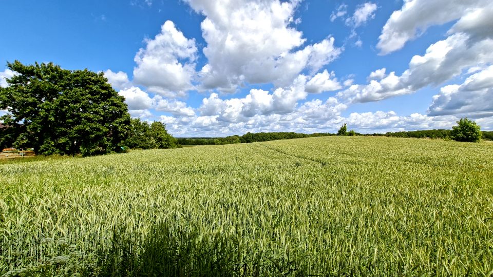 Ogrodzona działka sprzedam